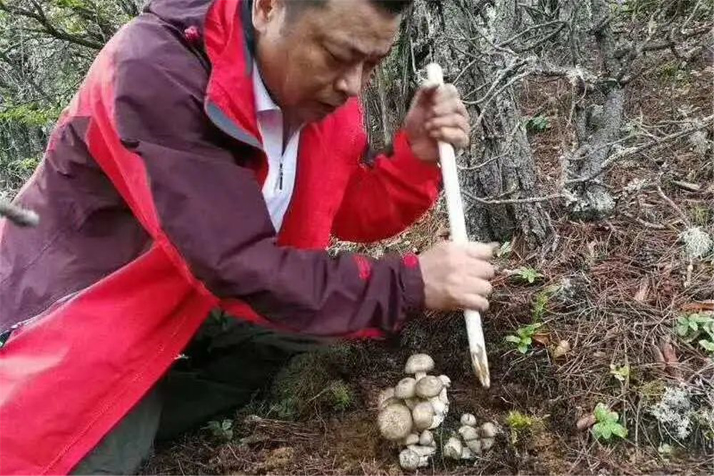 1608283102520774.jpg image016.jpg