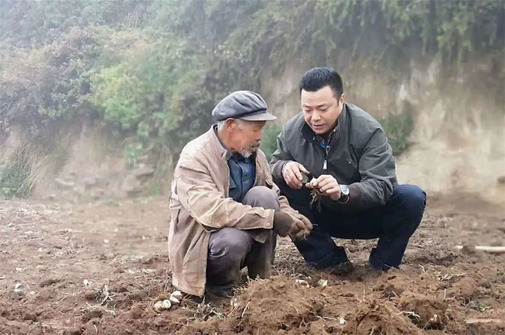 1608283121924423.jpg image018.jpg