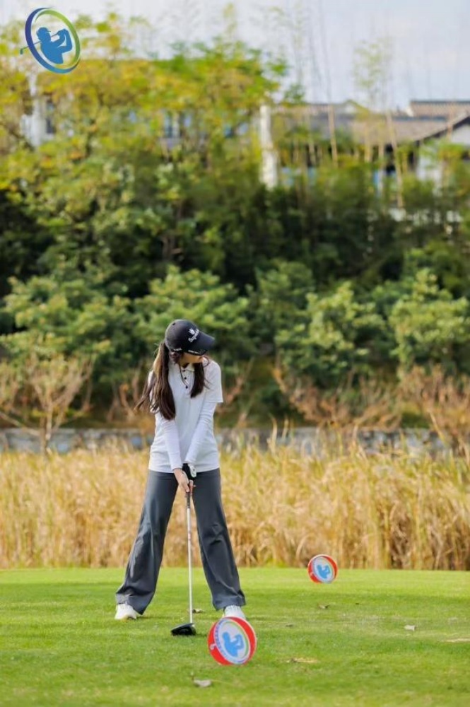 1733192989862159.jpg image013.jpg